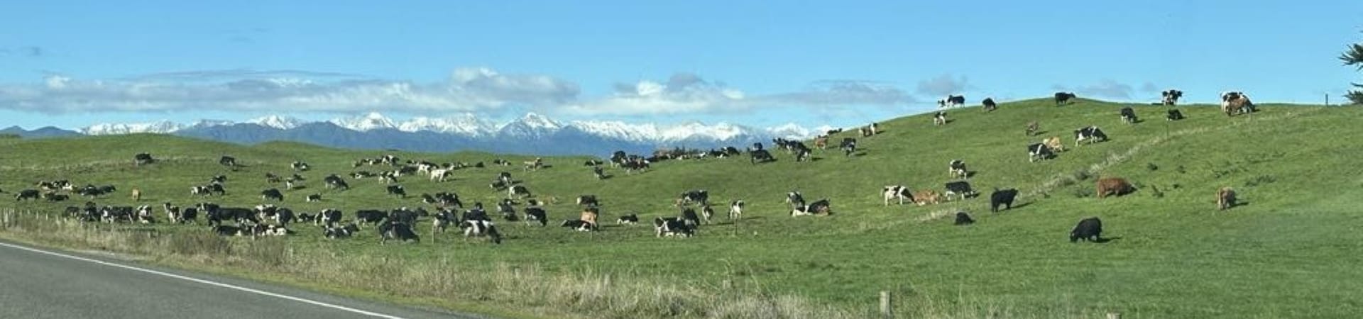 WAITARERE - vast Tasman Sea on one side and the snow-capped Tararua Ranges on the other.