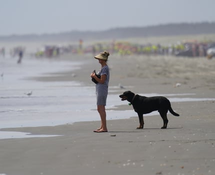 Beach Walk 